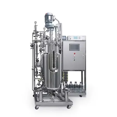 Bacteira Fermentor Bioreactor oziq-ovqat sanoati liniyasi